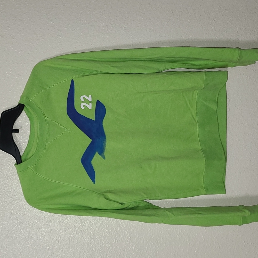 Hollister Sweatshirt